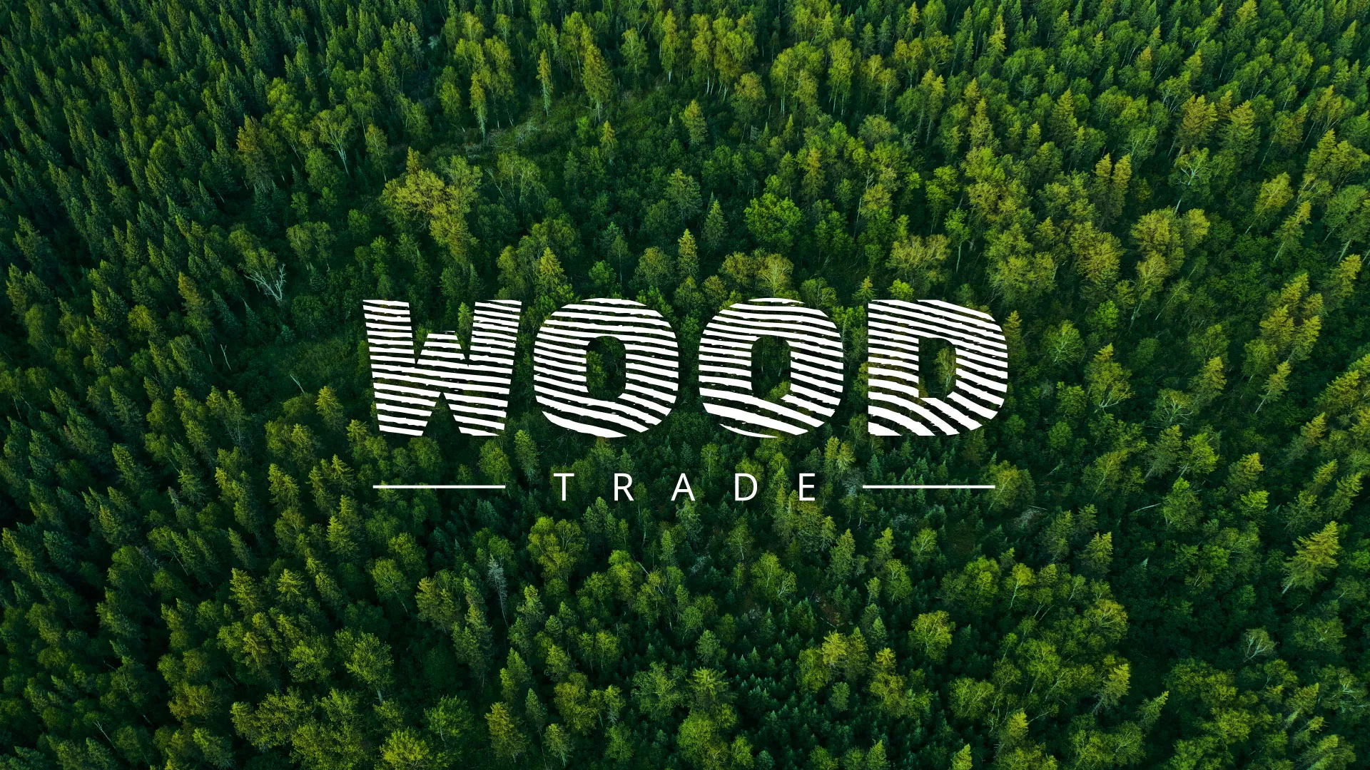 Разработка интернет-магазина компании «Wood Trade» в Заволжске