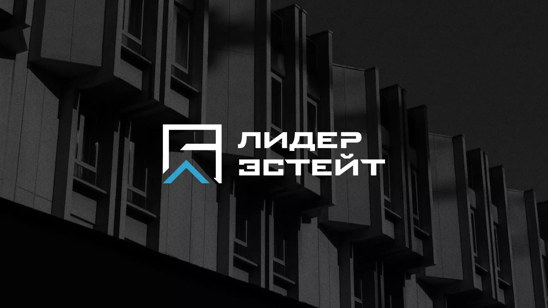 Разработка логотипа агентства недвижимости «Лидер Эстейт» в Заволжске